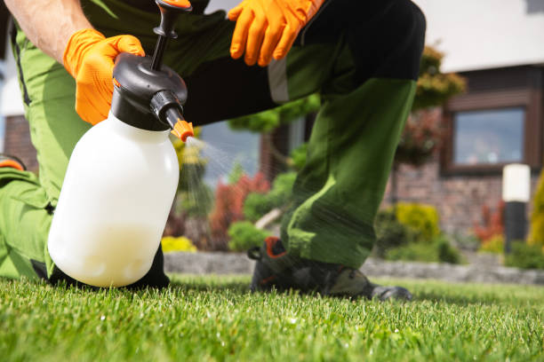 Best Best Pest Control Companies  in Morgan Hill, PA