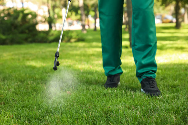 Best Pest Inspection Near Me  in Morgan Hill, PA