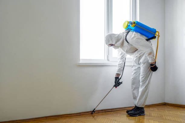 Best Pest Removal Services  in Morgan Hill, PA