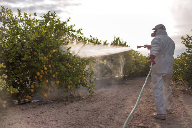 Best Pest Prevention Services  in Morgan Hill, PA