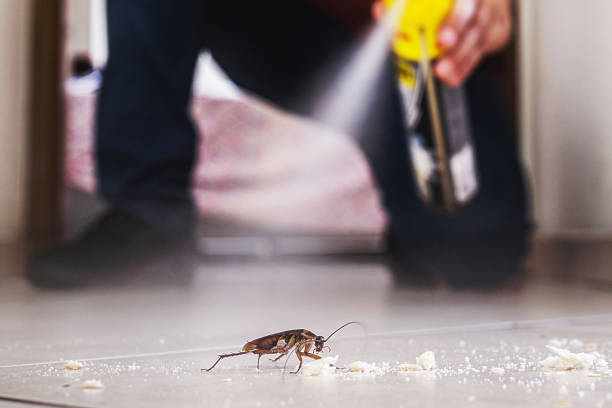 Reliable Morgan Hill, PA Pest Control Solutions