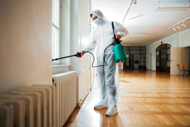 Best Wasp Removal Services  in Morgan Hill, PA
