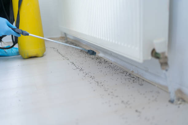 Best Affordable Pest Control Services  in Morgan Hill, PA